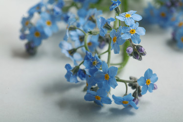 Similar image 10508027