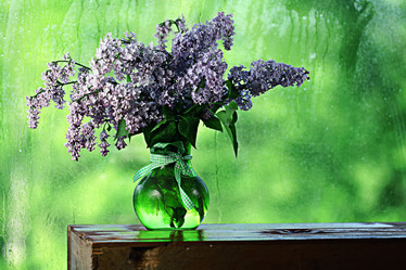 Similar image 10508032