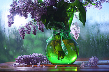 Similar image 10508037