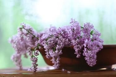 Similar image 10508038