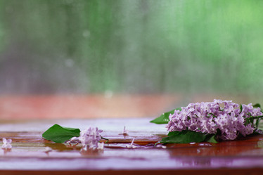 Similar image 10508039