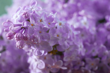 Similar image 10508040