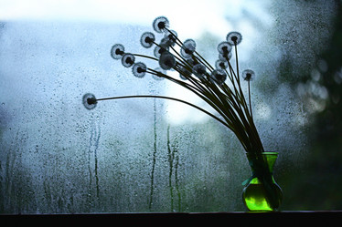 Similar image 10508041