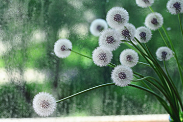 Similar image 10508042