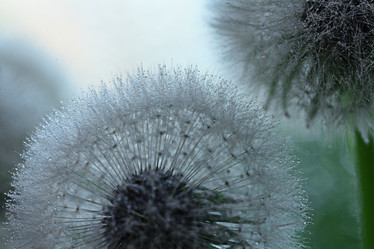 Similar image 10508044