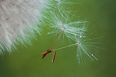 Similar image 10508045