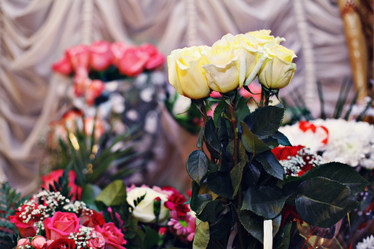 Similar image 10508054