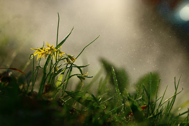 Similar image 10508055