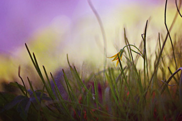 Similar image 10508056