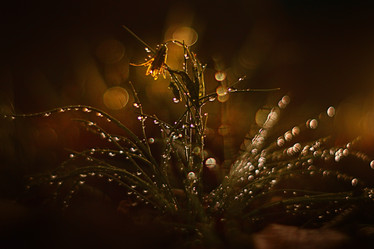 Similar image 10508057