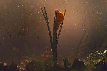 Similar image 10508059