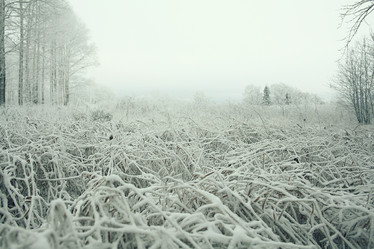 Similar image 10508067