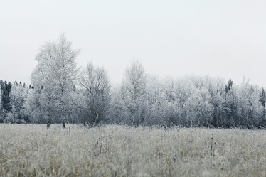 Similar image 10508068