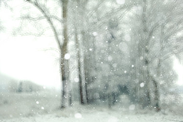 Similar image 10508070