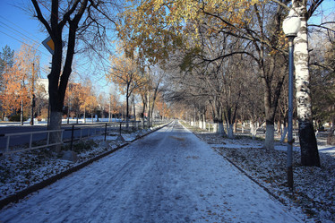 Similar image 10508081