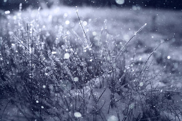 Similar image 10508083