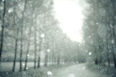 Similar image 10508084