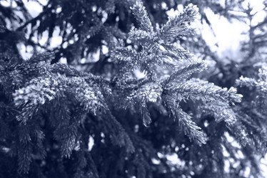 Similar image 10508086