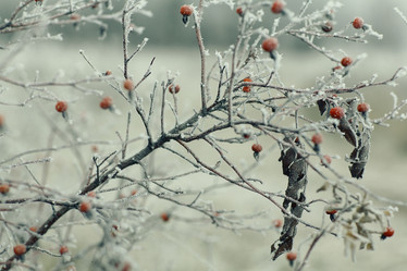 Similar image 10508091