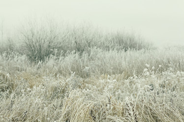 Similar image 10508100