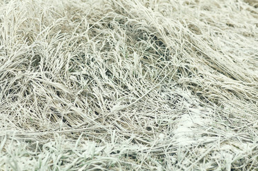 Similar image 10508101