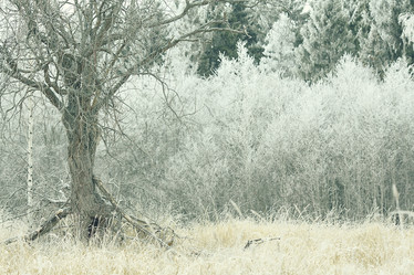 Similar image 10508102