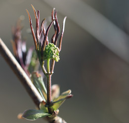 Similar image 10508106