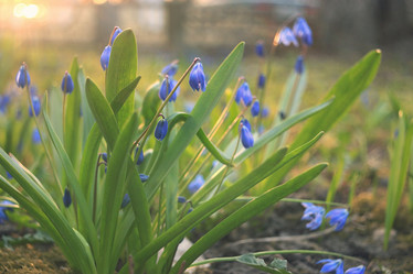 Similar image 10508110