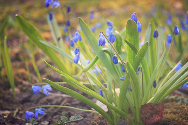 Similar image 10508114