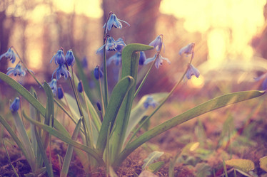 Similar image 10508118