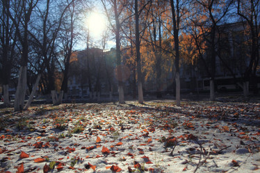 Similar image 10508123