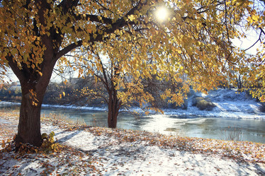 Similar image 10508129