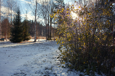 Similar image 10508132