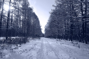 Similar image 10508134