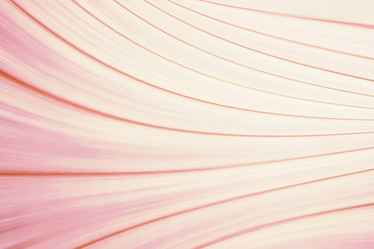 Similar image 10508141