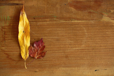 Similar image 10508142