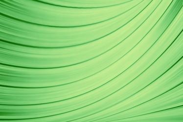 Similar image 10508144