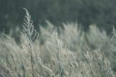 Similar image 10508173