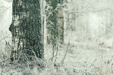 Similar image 10508175