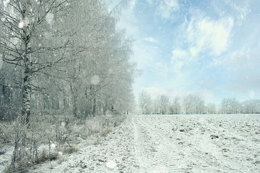 Similar image 10508176