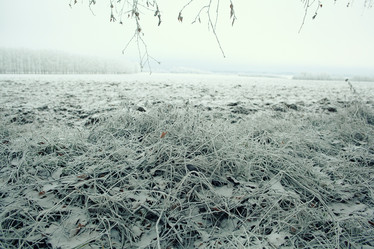 Similar image 10508177