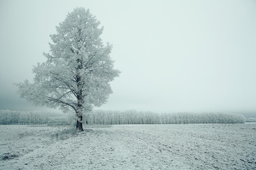 Similar image 10508178