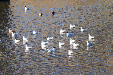 Similar image 10508181