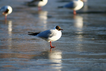 Similar image 10508183