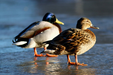 Similar image 10508185