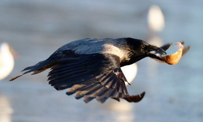 Similar image 10508189