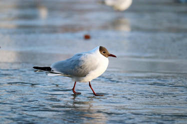 Similar image 10508191