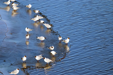 Similar image 10508194