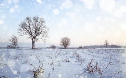 Similar image 10508221