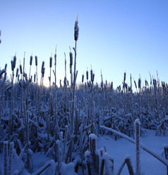 Similar image 10508224